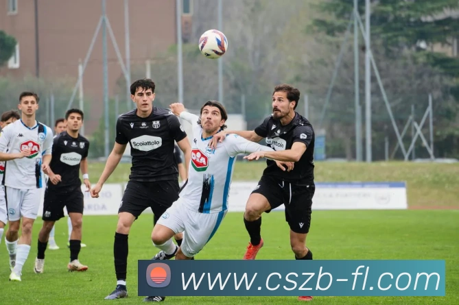 彩神争霸品牌故事